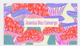 Diseño Niñas 2