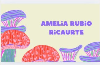 Diseño Niñas 3